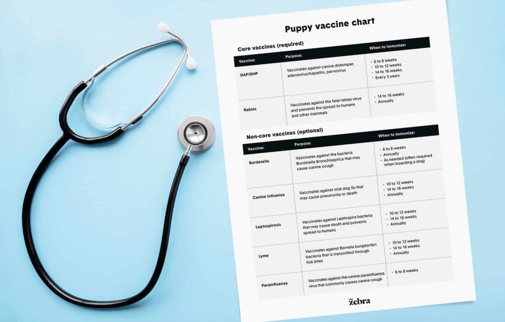 Dog Vaccination Schedule Chart to Help You Stay on Track!